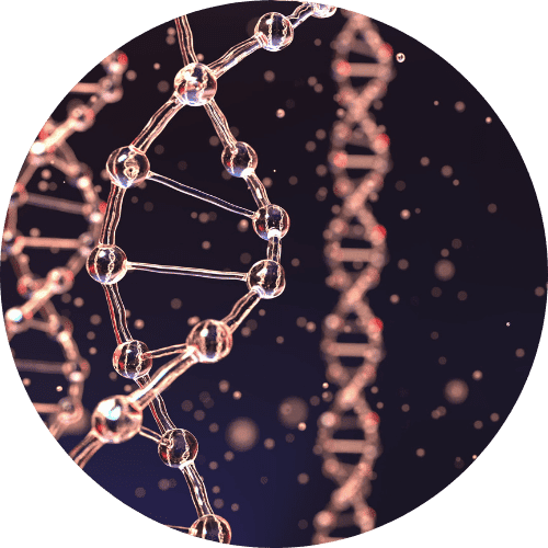 Whole Genome Sequencing